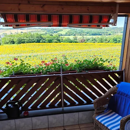 Pensiune Viola House 3*