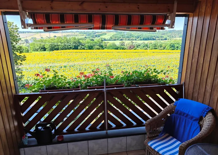 Guest house Viola House 3*