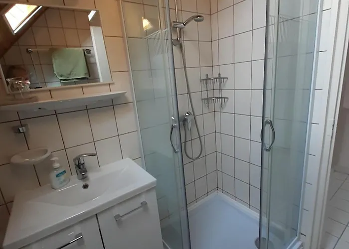 Viola House Pensiune 3*