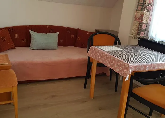 Viola House Pensiune 3*