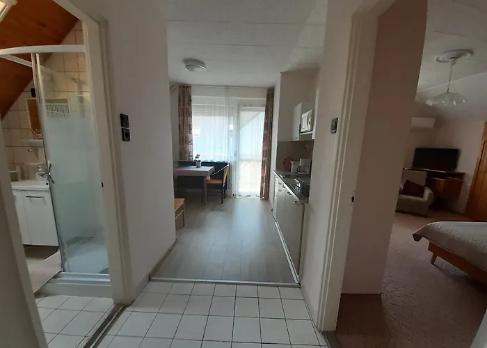 Viola House Гостевой дом 3*