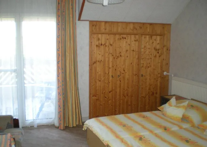 Guest house Viola House