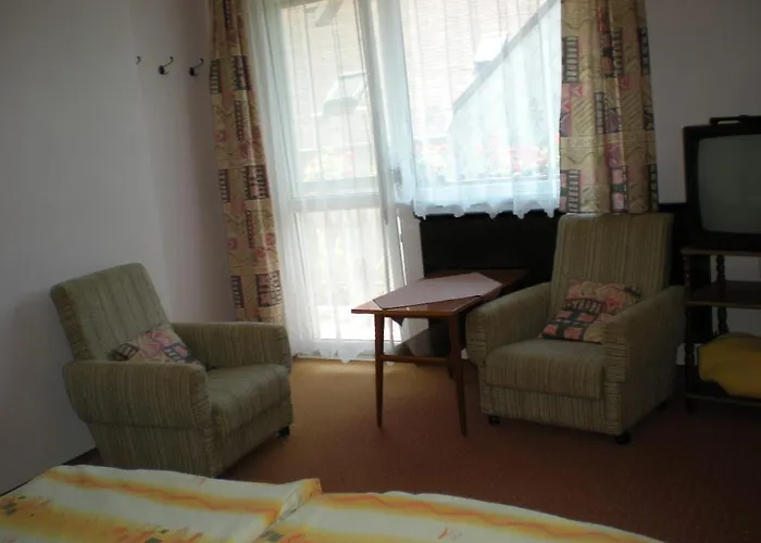 Viola House Pensiune 3*